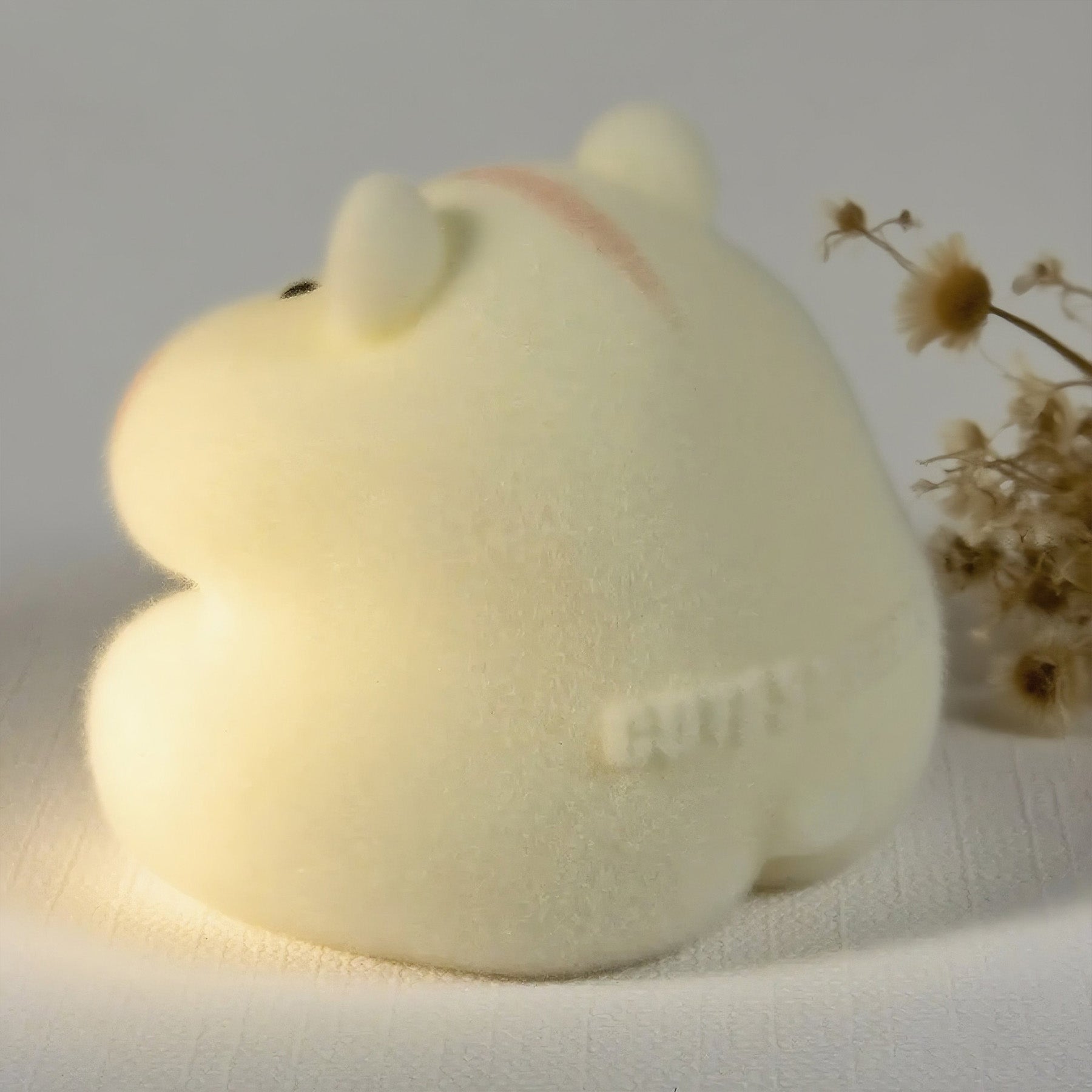 Hamster Stress Relief Through Providing Plenty Of Natural Light photo